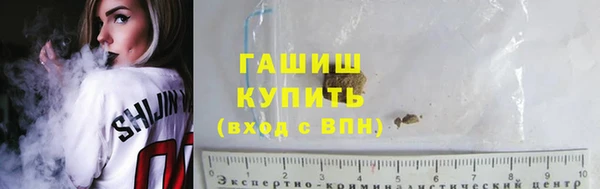 гидра Абаза