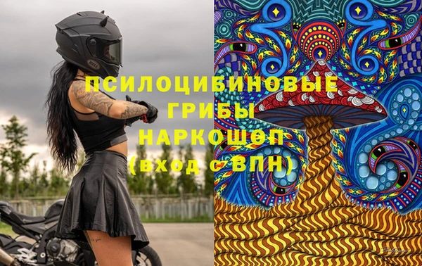 ГАЛЛЮЦИНОГЕННЫЕ ГРИБЫ Алзамай