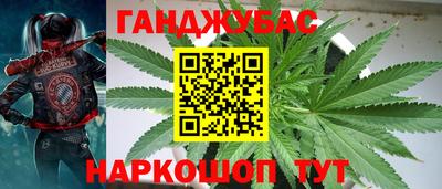 МДПВ Гатчина