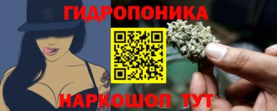 МДПВ Гатчина